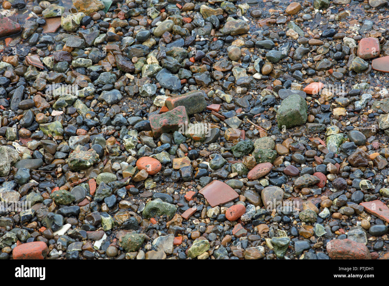 Laisses de la Tamise, Londres, GB. Plages de sable et de gravier à marée basse le long de la Tamise, pour mudlarking, marcher, jouer et profiter de la vie à la plage. Banque D'Images