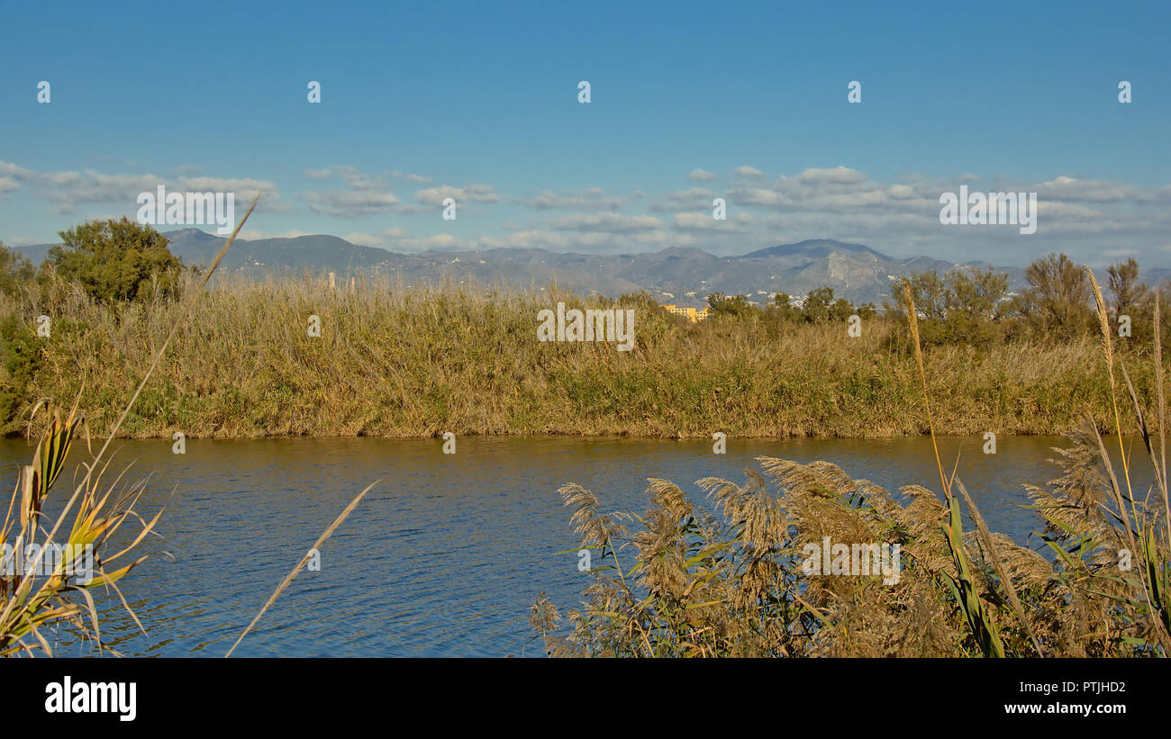 Les banques de la rivière Guadalhorce avec Reed et arbustes avec montagnes en arrière-plan sur une journée ensoleillée avec ciel bleu clair Banque D'Images