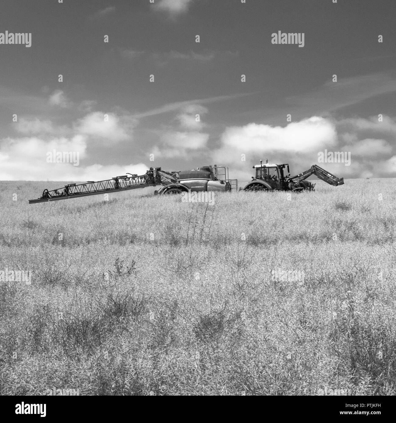 Tracteur agricole remorquant l'unité de pulvérisation de récolte dans les champs d'été.Rendu monochrome de PTJKEW.La nourriture pousse sur le terrain.Métaphore champ à plaque. Banque D'Images Tracteur agricole remorquant l'unité de pulvérisation de récolte dans les champs d'été.Rendu monochrome de PTJKEW.La nourriture pousse sur le terrain.Métaphore champ à plaque. Banque D'Images