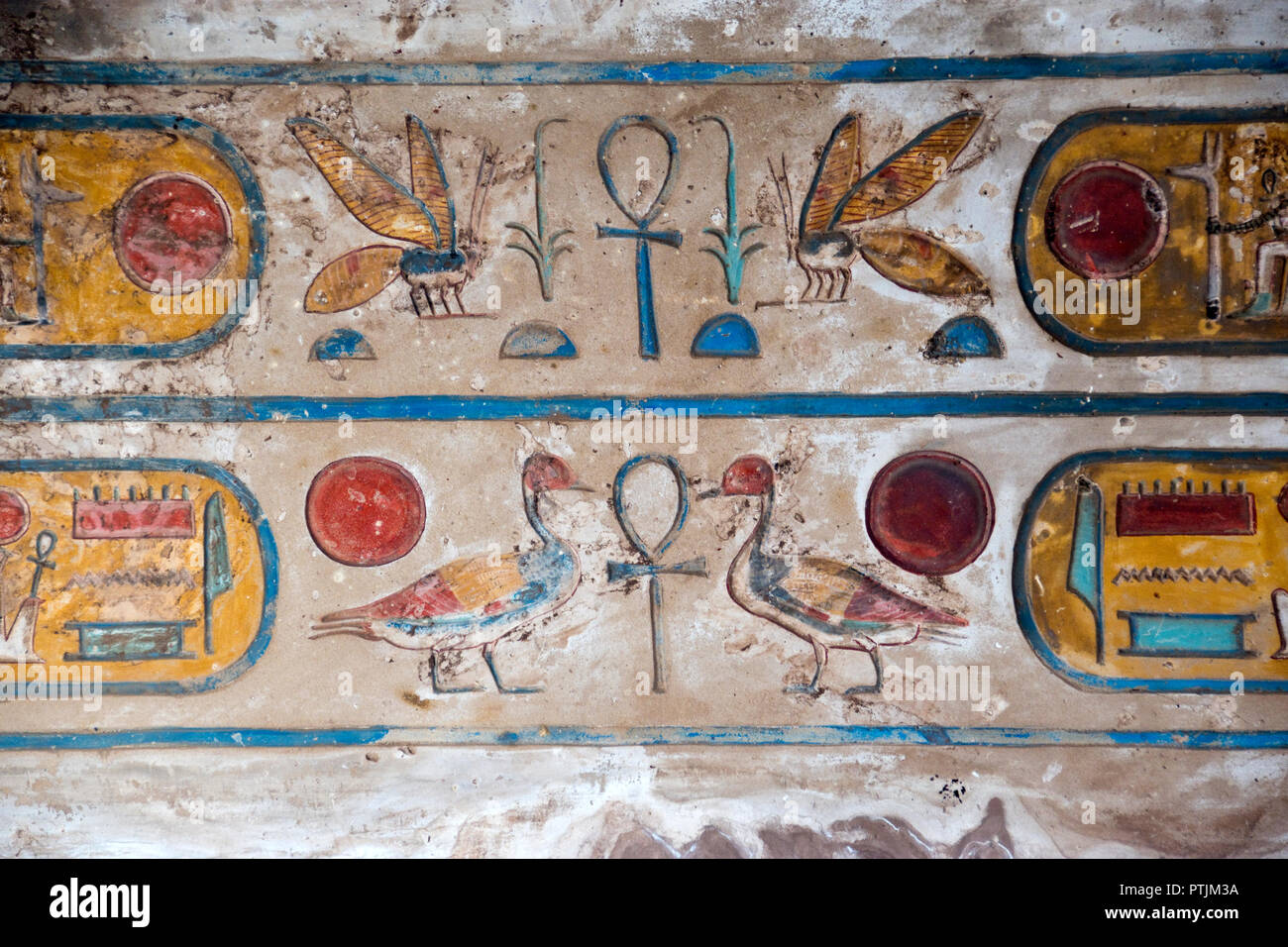 Bas-relief peint de couleurs vives d'hiéroglyphes : représentations de coléoptères, les canards et le soleil au Temple de Karnak, Louxor, Egypte. Banque D'Images