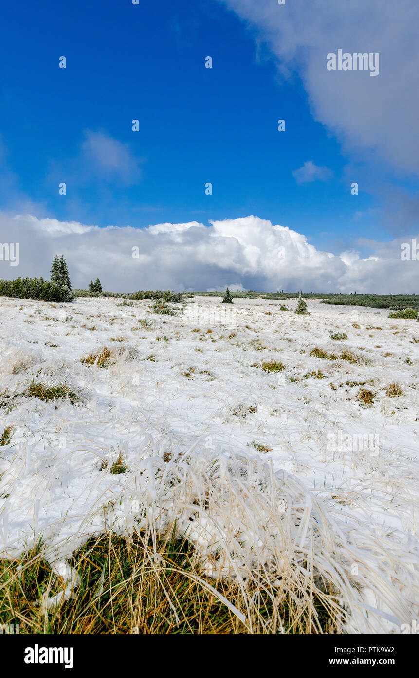 Première neige sur les montagnes des Géants (Karkonosze). La Pologne, Dolnoslaskie province. Banque D'Images