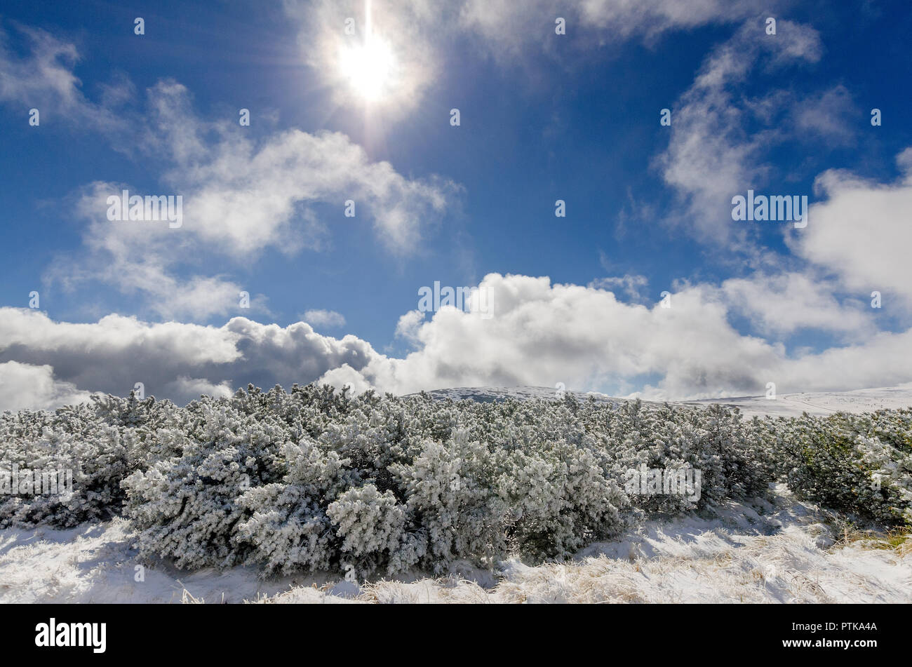 Première neige sur les montagnes des Géants (Karkonosze). La Pologne, Dolnoslaskie province. Banque D'Images