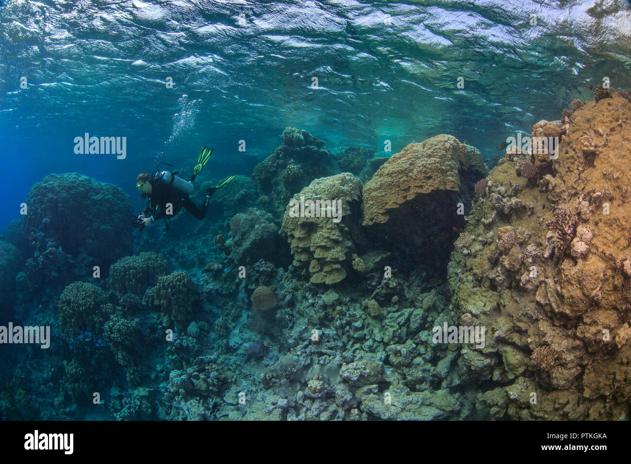 Scuba Diver femme relfecting blue lagoon explore les couleurs des coraux de la Mer Rouge. Banque D'Images