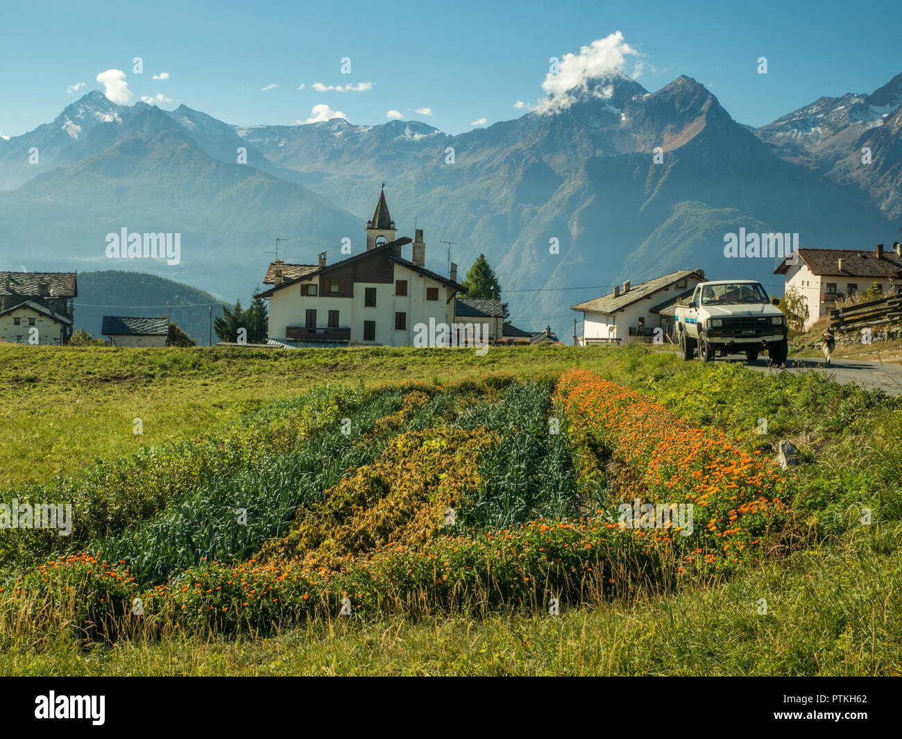 Une parcelle de terrain végétale dans le village de Lignan, vallée d'Aoste, NW de l'Italie. Banque D'Images