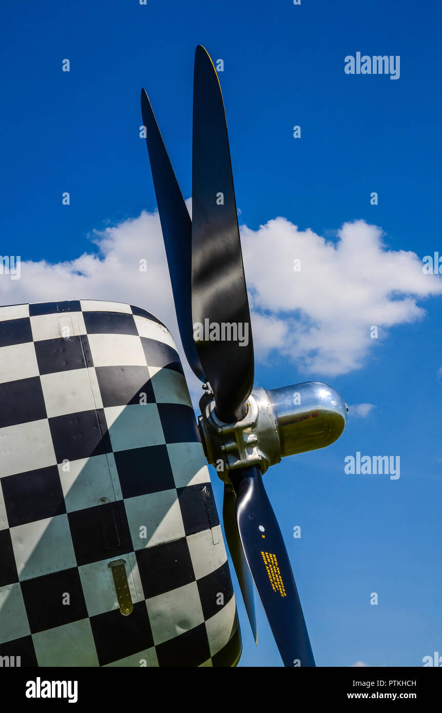 Nez de capot damier Republic P-47 Thunderbolt Seconde Guerre mondiale avion de chasse isolé sur fond de ciel bleu avec des nuages. Journée ensoleillée Banque D'Images