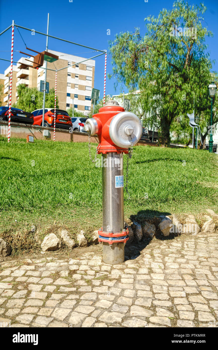 D'INCENDIE rouge sur pelouse verte with copy space Banque D'Images