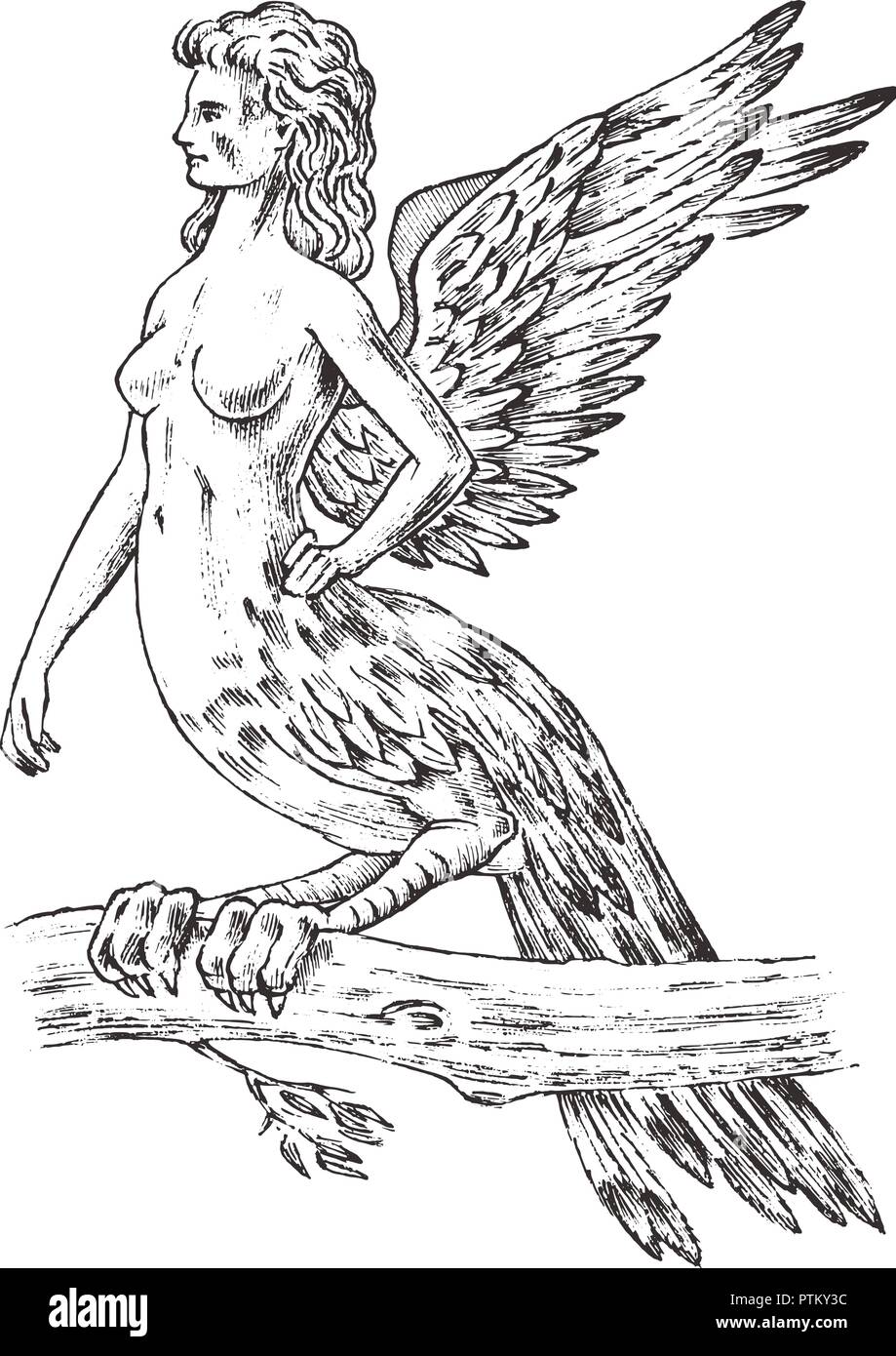 Harpie antique. Femme Oiseau Aigle. Grec mythique monster. Animal mythologique. Créatures fantastiques dans l'ancien style vintage. Dessinés à la main, gravée ancien sk Illustration de Vecteur