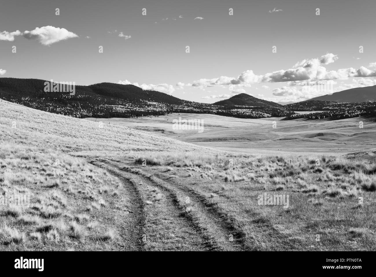 Paysage noir et blanc d'un ranch route tournant à travers un vaste vista de prés herbeux et intervalle ouvert avec montagnes au loin Banque D'Images