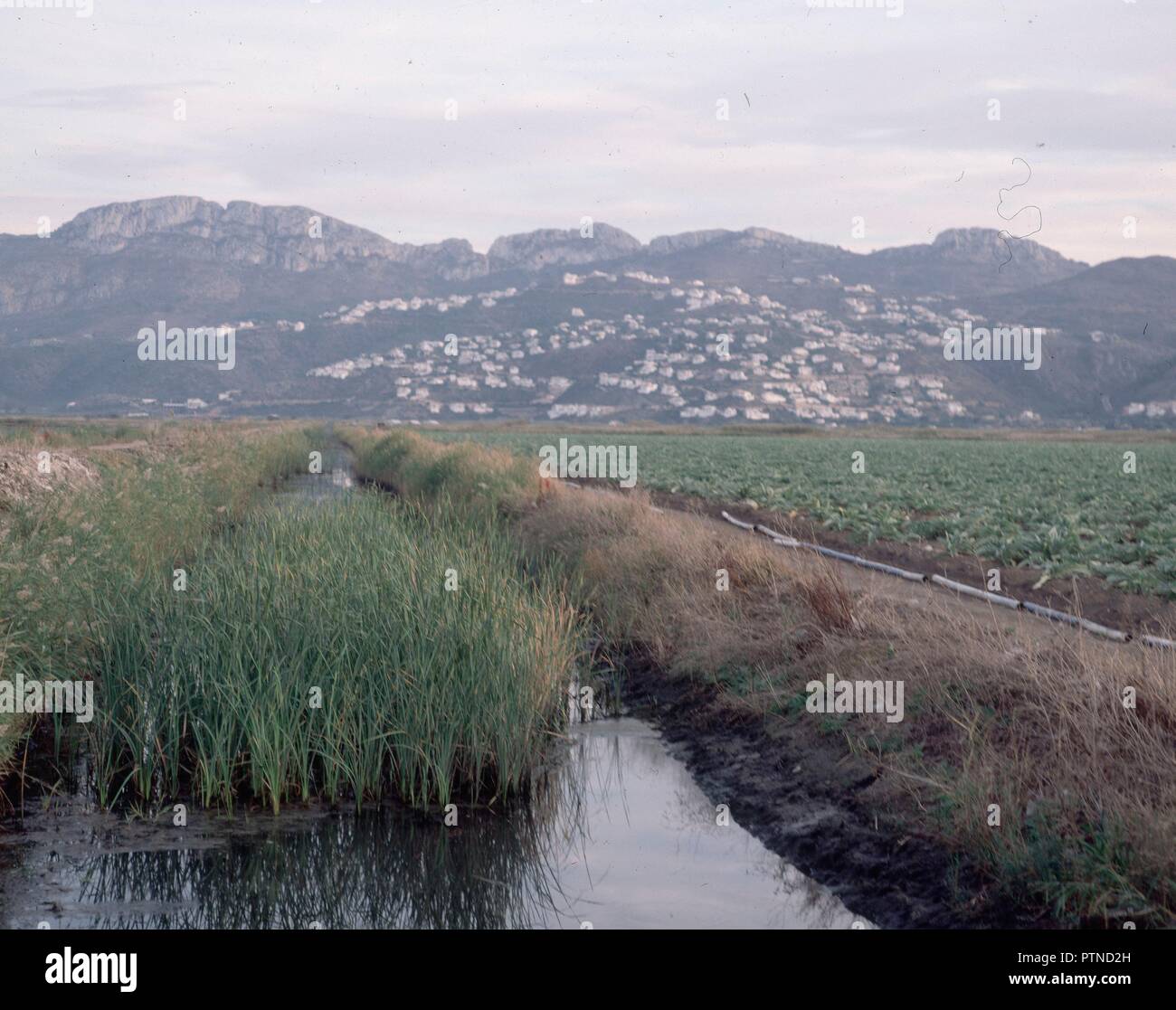 CANAL DE RIEGO. Lieu : extérieur. PEGO. L'ESPAGNE. Banque D'Images