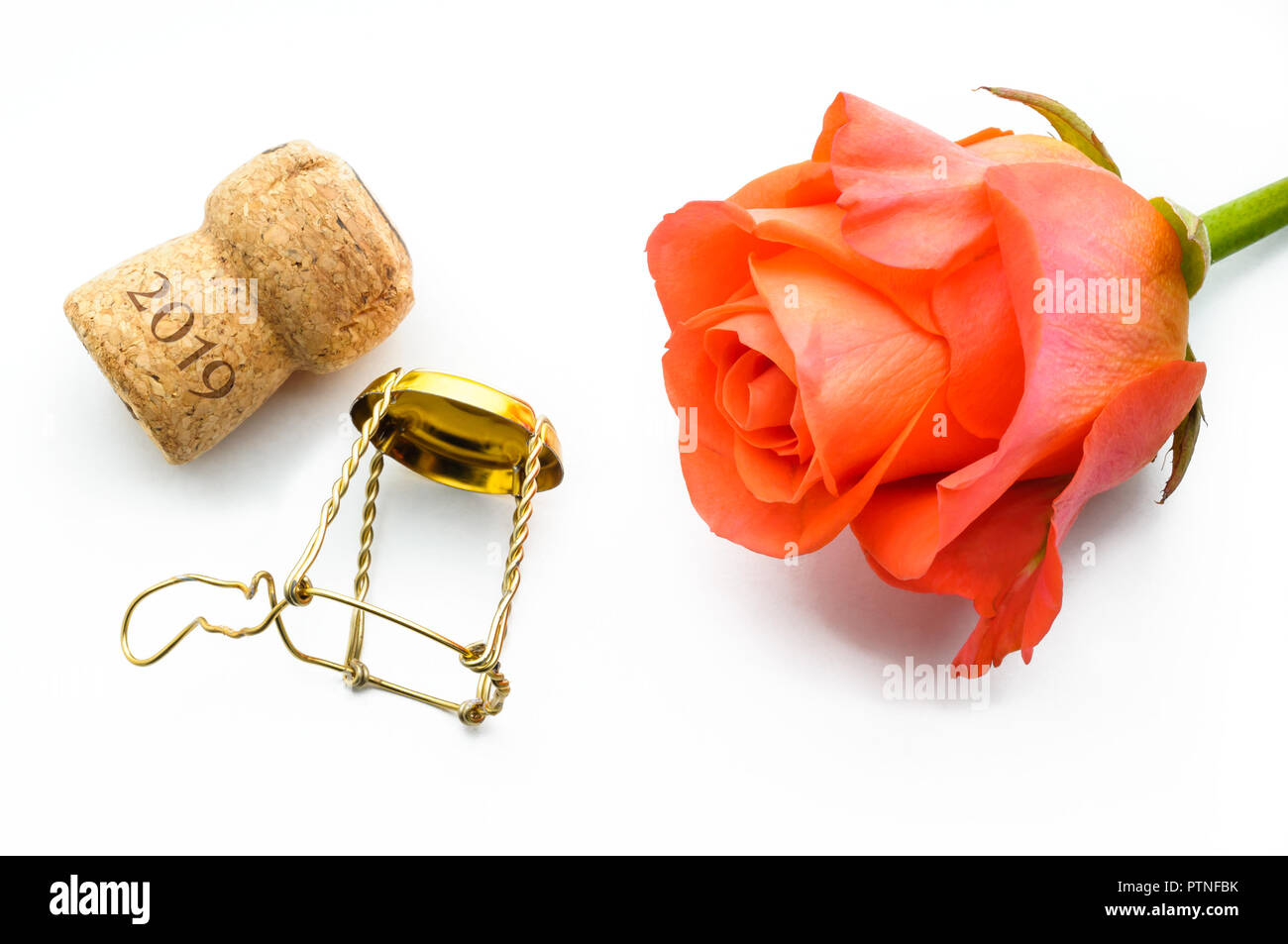 Une orange rose et un Champagne cork pour Saint Valentin Fête des amoureux ou pour nouvel an 2018 Banque D'Images