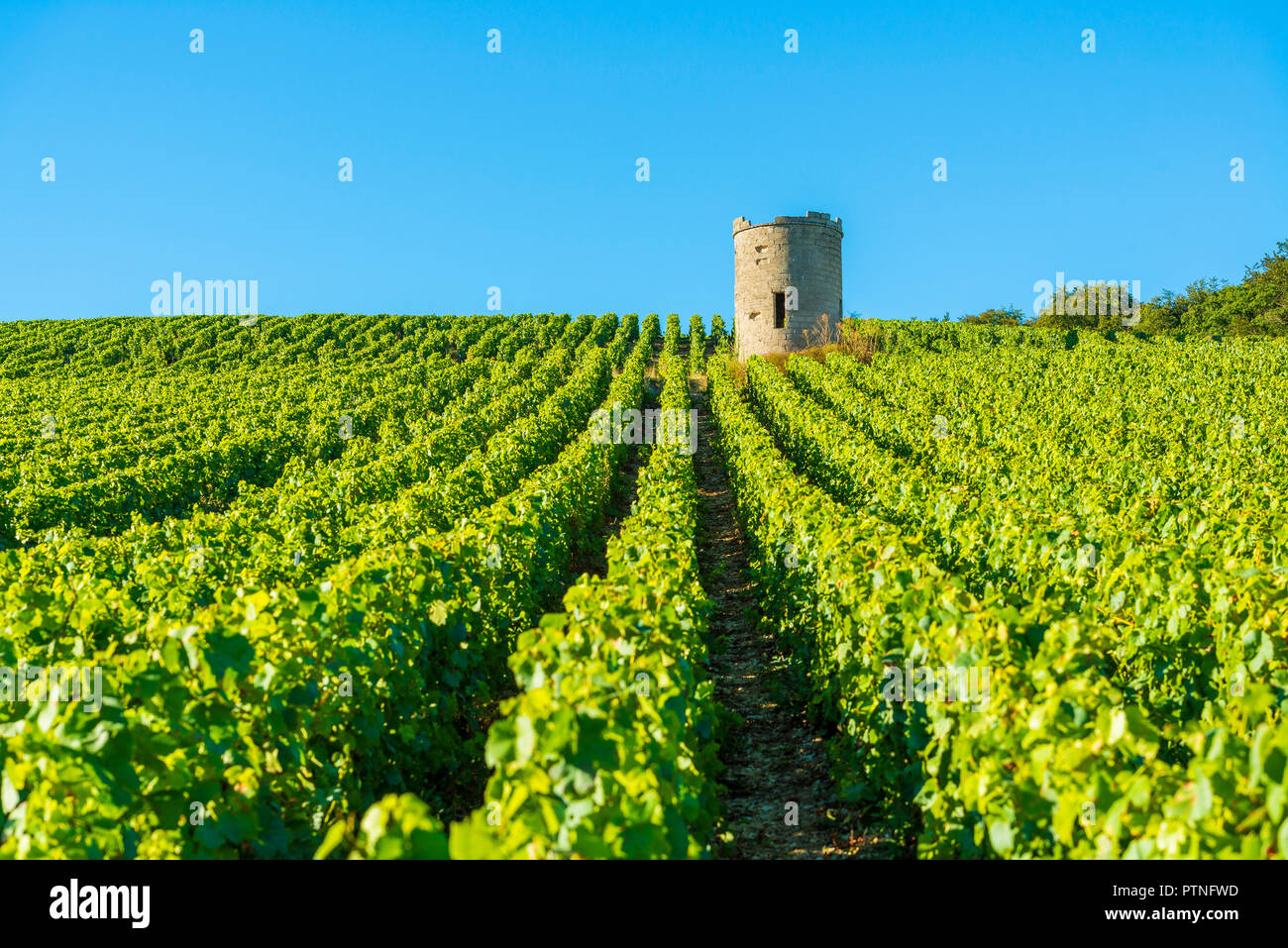 Bligny (nord-est de la France). Le village est situé au milieu de la région viticole des Òcote BarÓ (entre Bar-sur-Aube et Bar-sur-Seine Banque D'Images