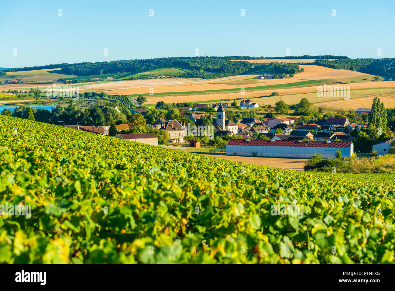 Bligny (nord-est de la France). Le village est situé au milieu de la région viticole "Côte des Bar" (entre Bar-sur-Aube et Bar-sur-Seine Banque D'Images