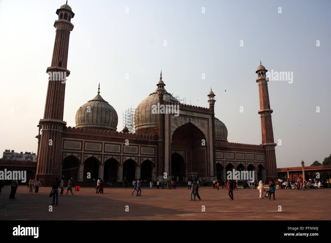 La mosquée Jama Masjid à New Delhi, Inde Banque D'Images