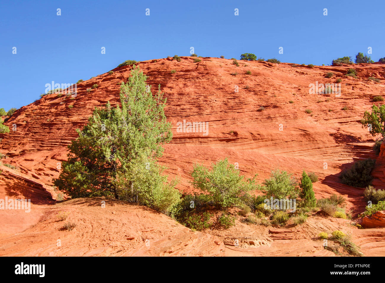 Red Rock Canyon dans l'Utah Banque D'Images