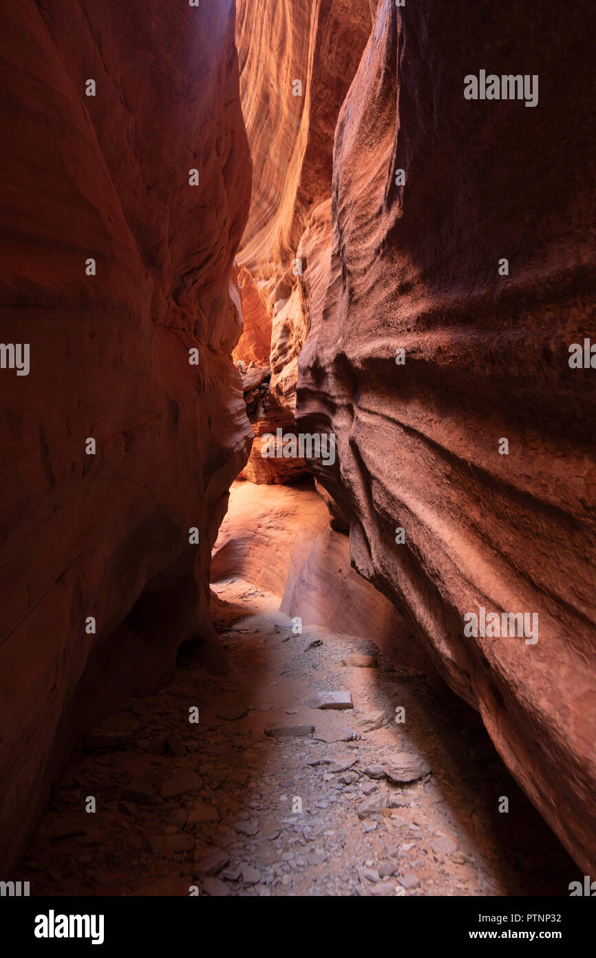 Peek a boo slot canyon dans l'Utah Banque D'Images