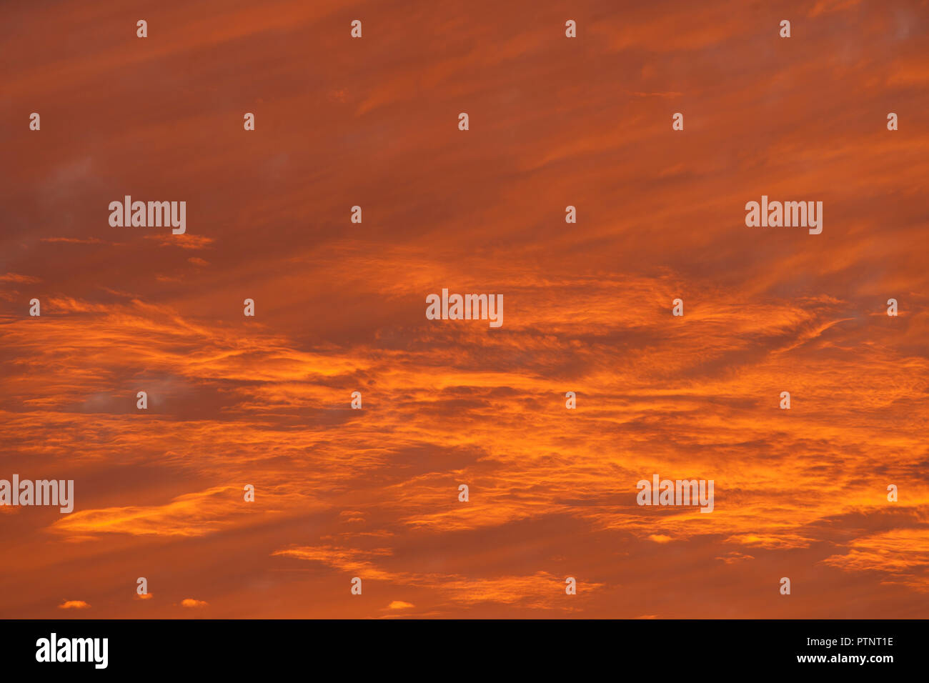 Or doux nuages à coucher du soleil sur le nord-est du Brésil Banque D'Images