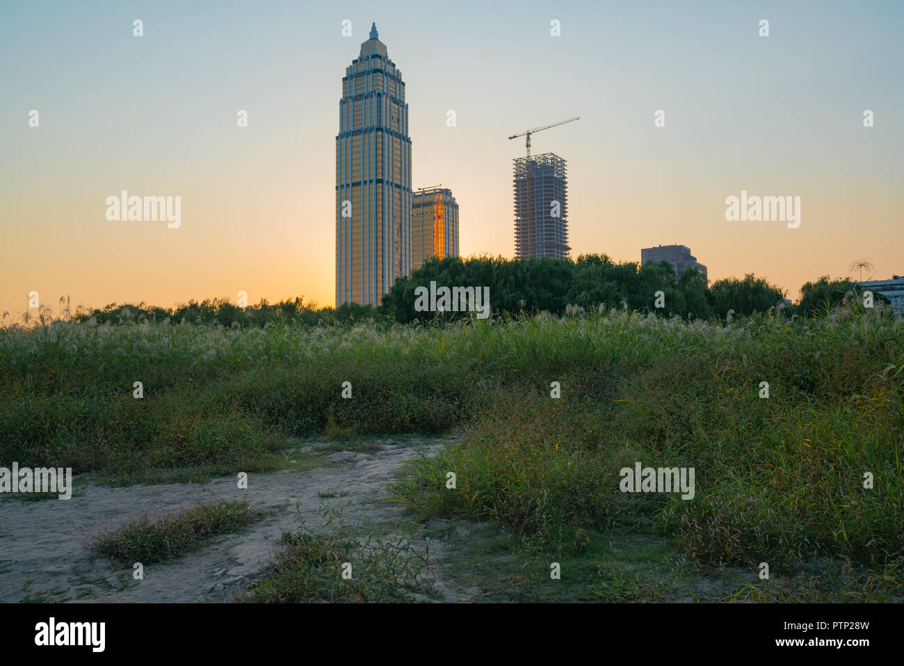 Des bâtiments de la ville se dégagent de la nature , dans le district de Hankou Wuhan Hubei Chine skyline Banque D'Images
