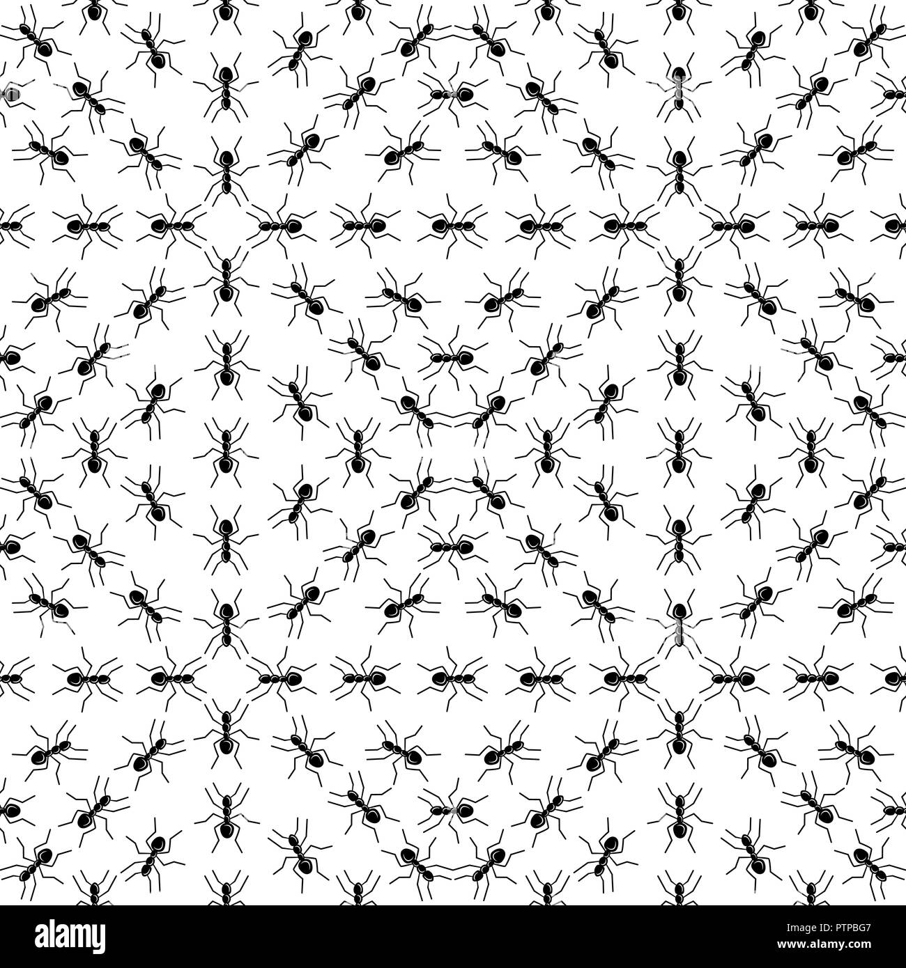 Illustration de fourmis sur un fond blanc. Vecteur. Illustration de Vecteur