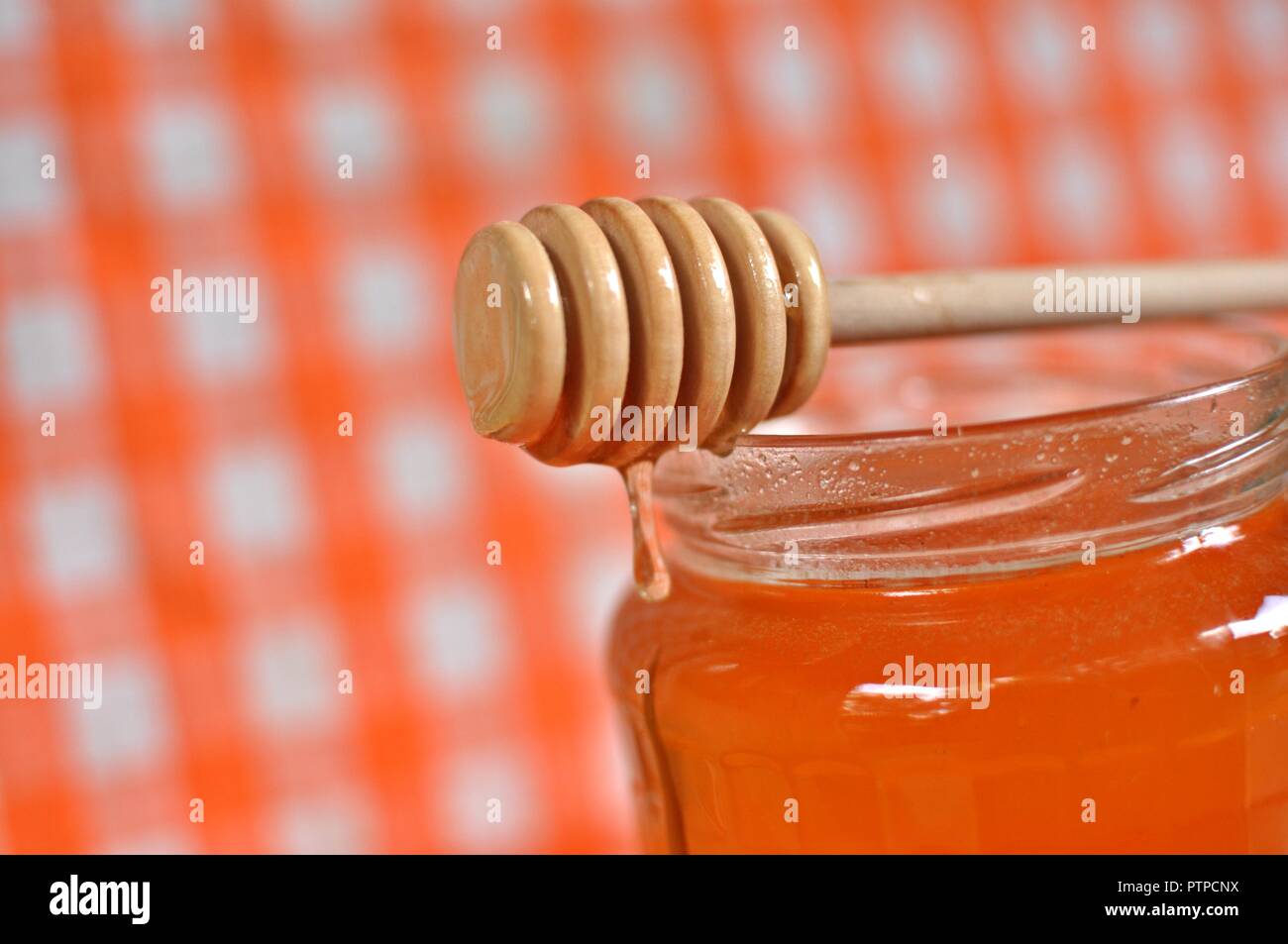 Close up d'un balancier en bois debout sur la bouche du pot, blanc et orange sur fond de grille, Close up, selective focus Banque D'Images