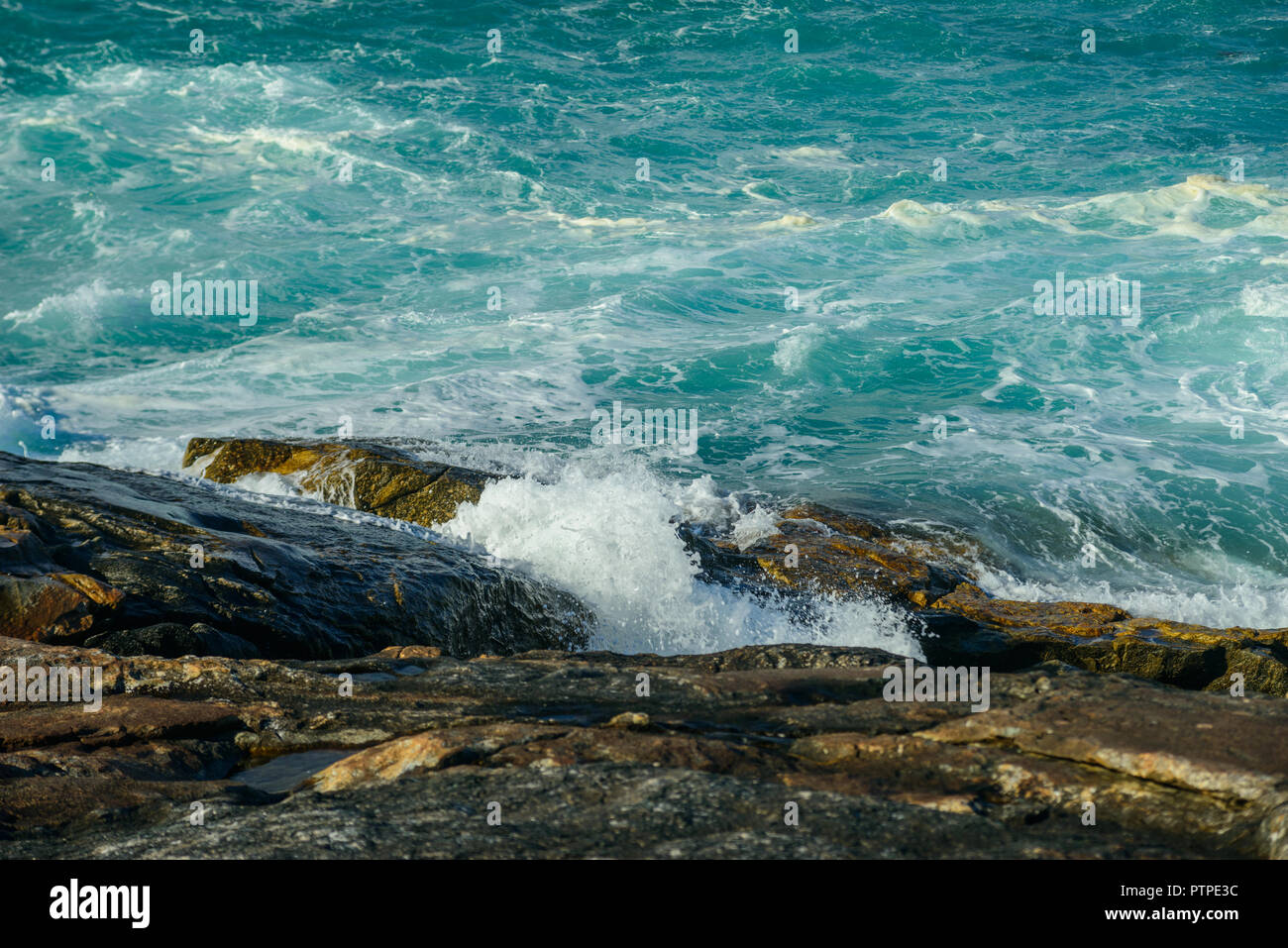 Près de la côte sud-ouest de l'Australie, Albany, Australie Banque D'Images