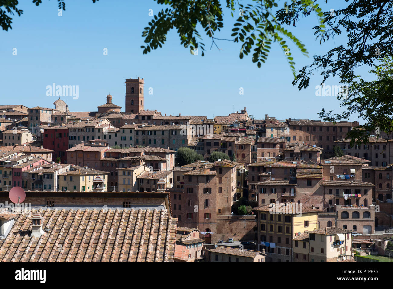 L'été dans la ville de Sienne, Toscane Italie Europe EU Banque D'Images