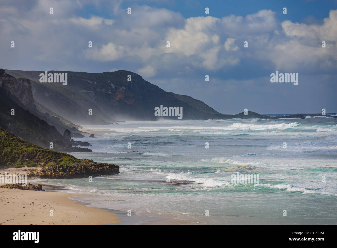 Parc éolien d'Albany dans le lointain sur les falaises de la côte, près d'Albany, au sud ouest de l'Australie, l'Australie Banque D'Images