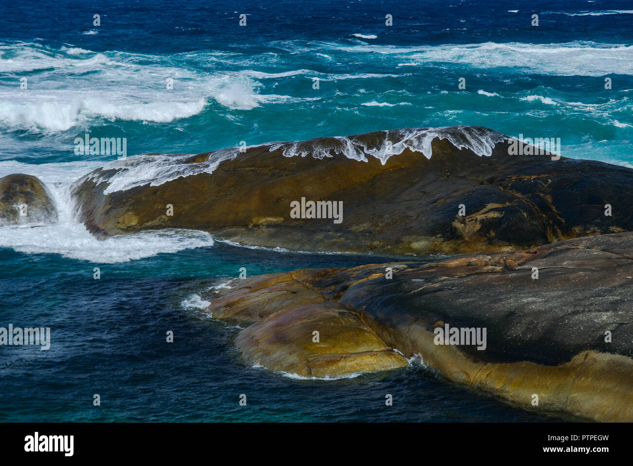 Piscine verts, Western Australia, Australia Banque D'Images