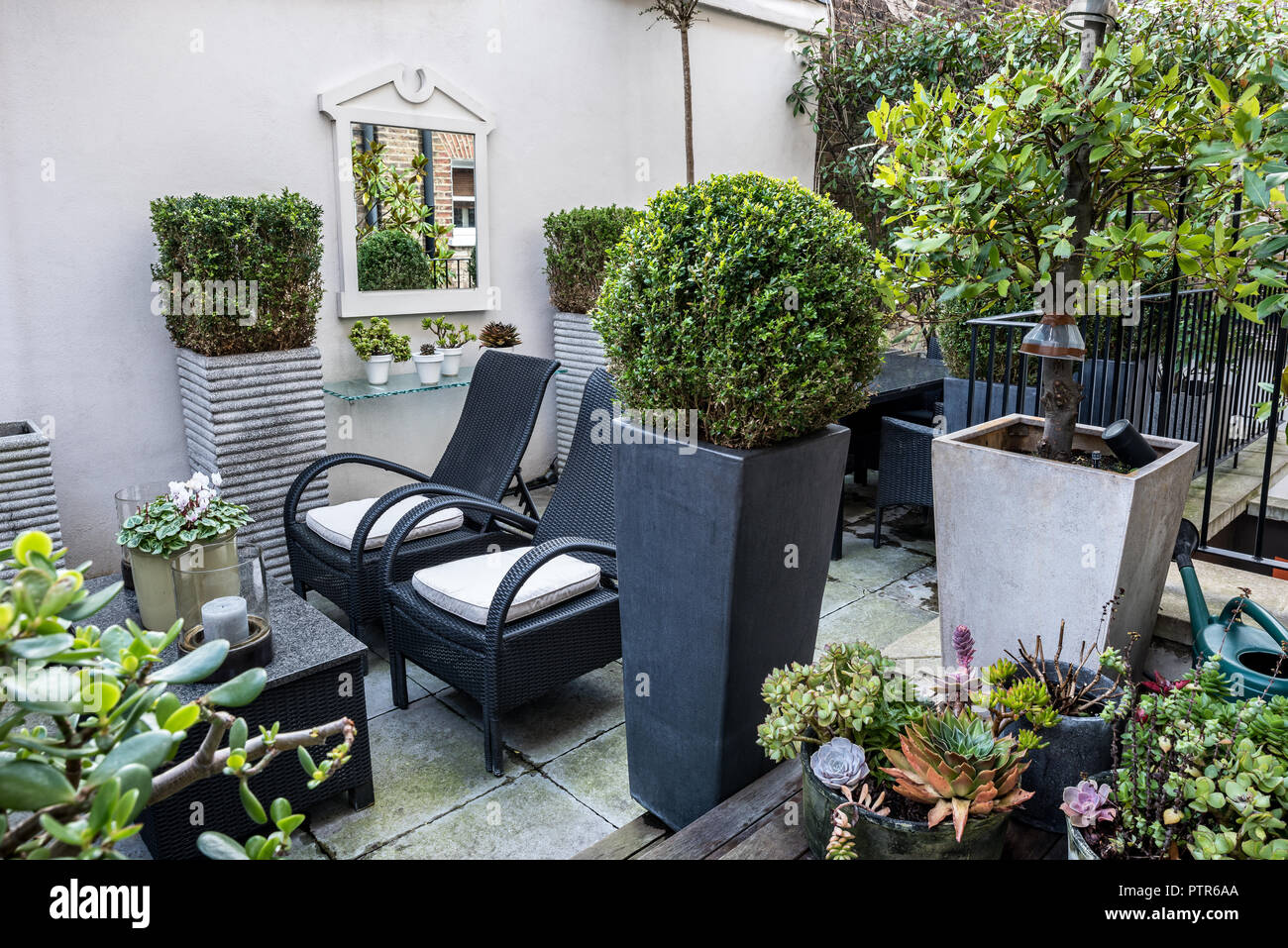 Buis taillés et des chaises en osier sur la terrasse de la cour en milieu urbain Banque D'Images