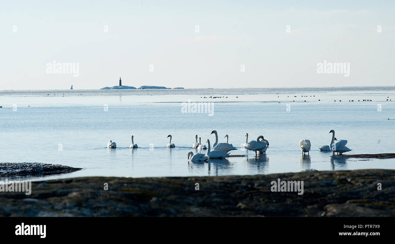 La glace de mer dans la Suède. L'eau gelée dans un état solide.[3][4] en fonction de la présence d'impuretés telles que les particules de sol ou de bulles d'air Banque D'Images