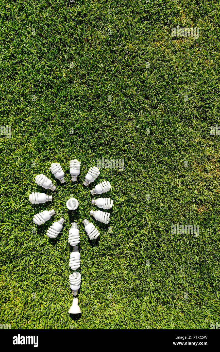 Des ampoules basse consommation d'énergie sur l'herbe. Source d'énergie verte concept Banque D'Images Des ampoules basse consommation d'énergie sur l'herbe. Source d'énergie verte concept Banque D'Images