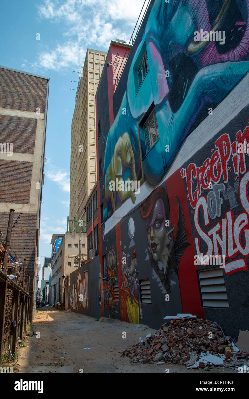 Johannesburg, Afrique du Sud, le 10 octobre 2018. Une ruelle décorée de peintures murales est considérée comme la "Ville d'or" du Festival d'Art Urbain a lancé sa tournée graffiti street à Johannesburg aujourd'hui. Vandalisme marqué par certains, le festival met en lumière les aspects positifs de cette forme d'art et cherche à accroître l'appréciation de la part du grand public. Ces projets sont souvent murale améliorer et activer sites dans le centre-ville de Johannesburg qui sont oubliés ou craint par les habitants de la ville, selon les organisateurs. Credit : Eva-Lotta Jansson/Alamy Live News Banque D'Images