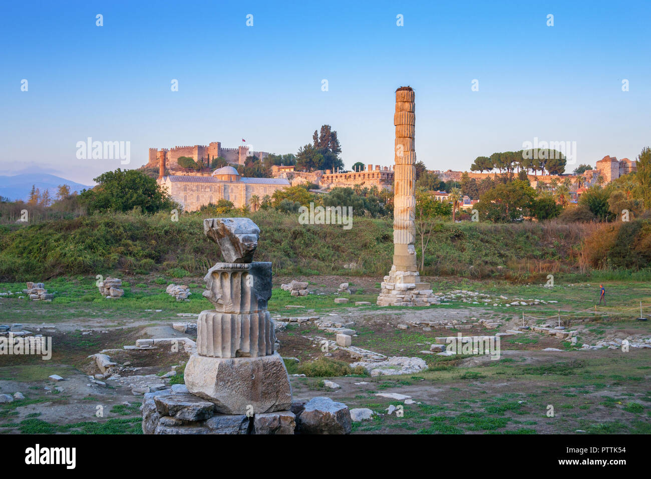 Ruines du temple d'Artémis - une des sept merveilles du monde antique - Selcuk, Turquie. Banque D'Images