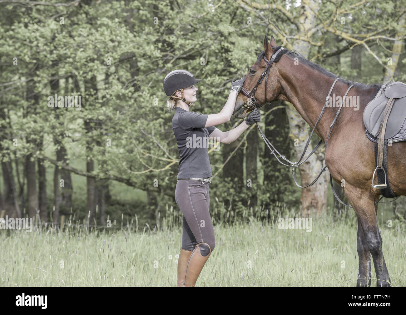 Frau Und Pferd Banque D Image Et Photos Alamy