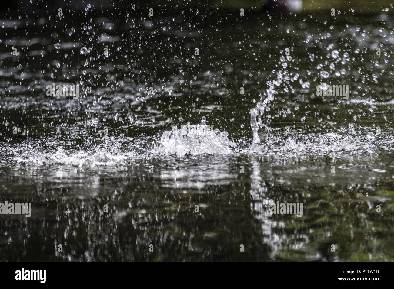Éclaboussure de l’eau Banque D'Images