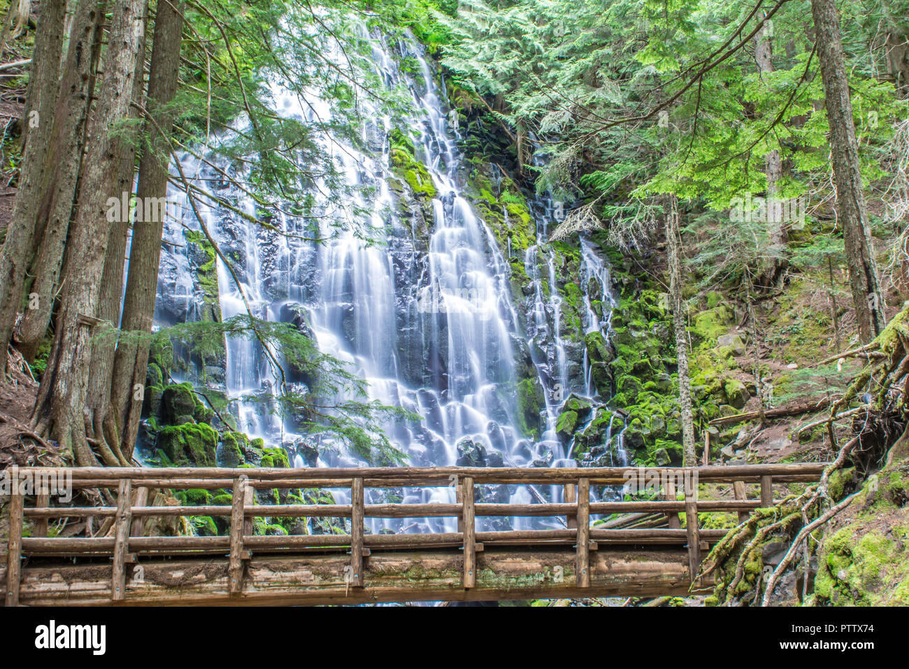 Ramona Falls de Mt Hood National Forest, Virginia Banque D'Images