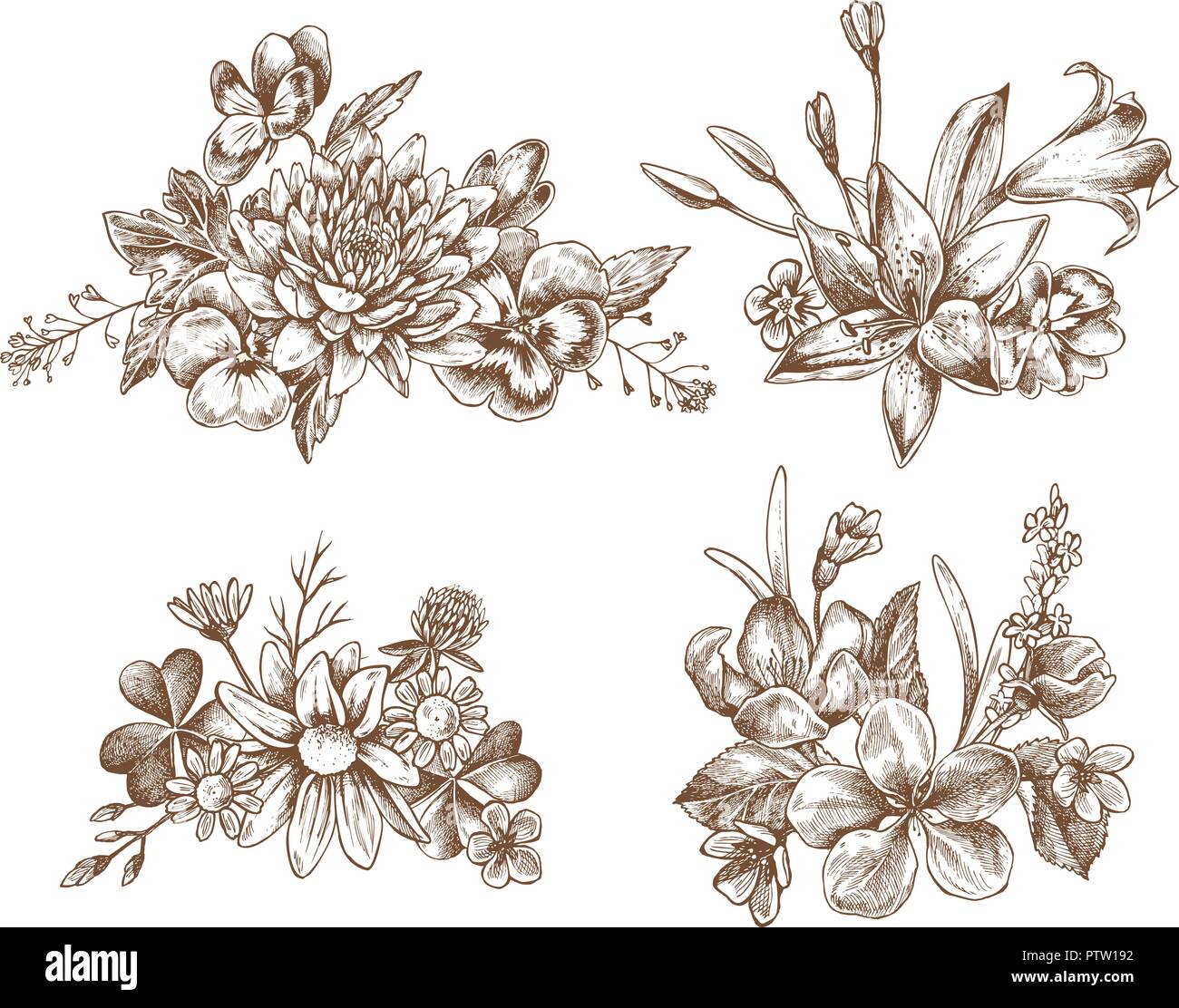 Vector collection de fleurs d'automne à la main Illustration de Vecteur