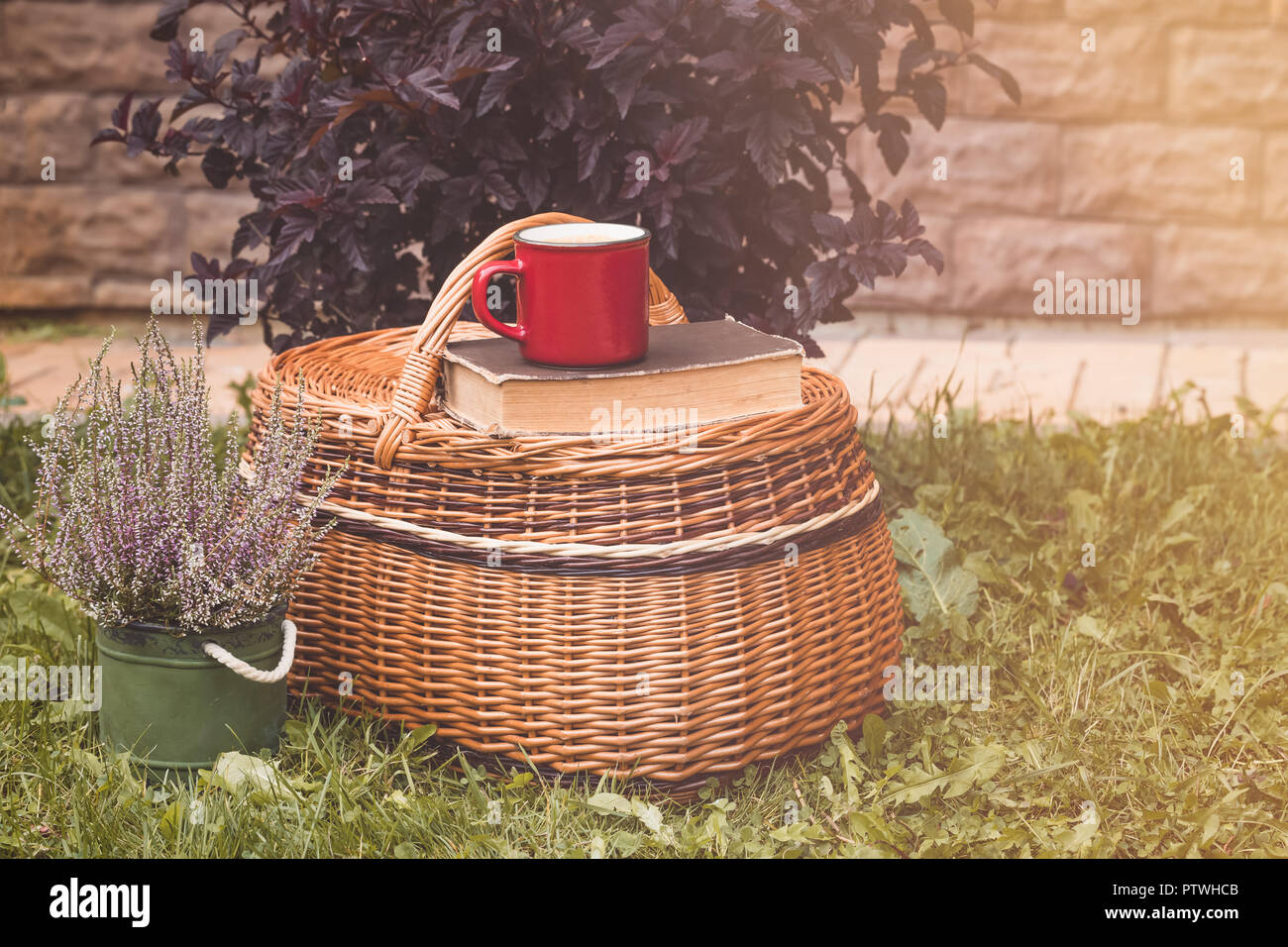Tasse de café rouge sur le panier de jardin avec Heather, tonique en pot Banque D'Images