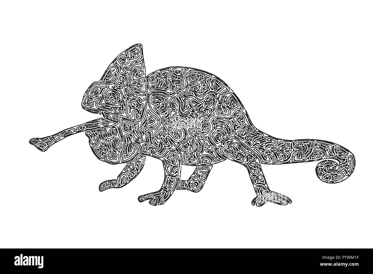 Illustration Dessin D Un Homme Cameleon Du Yemen Attraper Ses Proies Avec Sa Langue En Noir Et Blanc Lignes De Labyrinthe Photo Stock Alamy
