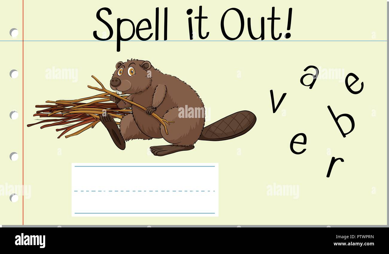 Ortographie mot anglais beaver illustration Illustration de Vecteur