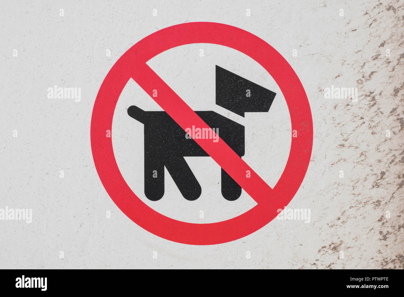 Pas de chien - Chiens non admis signe symbole, pictogrammes - Banque D'Images