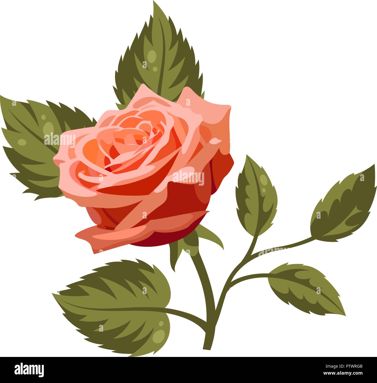 Illustration Vecteur de roses rouges isolé sur fond blanc. Pour utiliser le motif du tissu, trames et de décorer des cartes de vœux, invitations Illustration de Vecteur