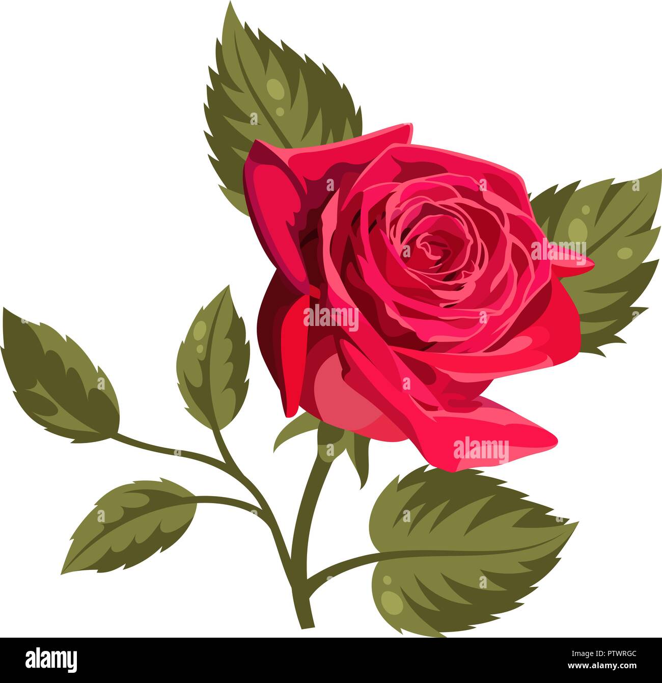 Illustration Vecteur de roses rouges isolé sur fond blanc. Pour utiliser le motif du tissu, trames et de décorer des cartes de vœux, invitations Illustration de Vecteur