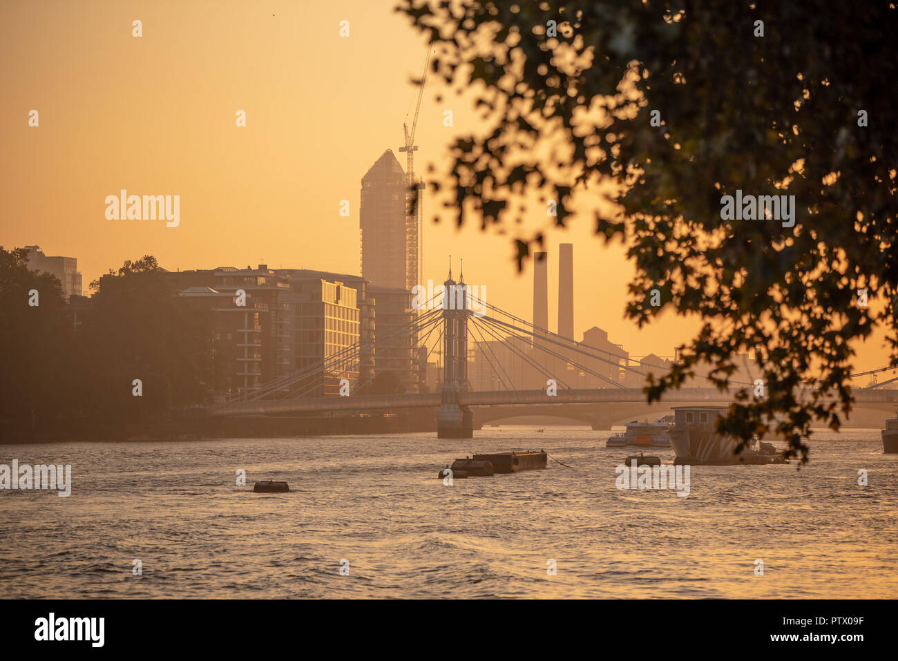 Albert Bridge dans l'ouest de Londres pendant le coucher du soleil Banque D'Images