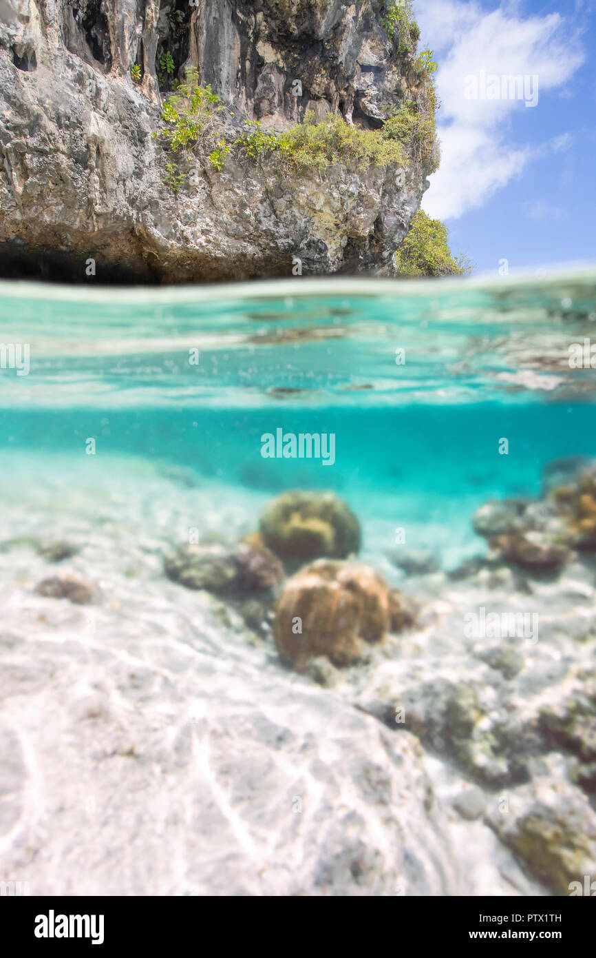 Split shot photographie de sous-marins du littoral de l'île de Niue Banque D'Images
