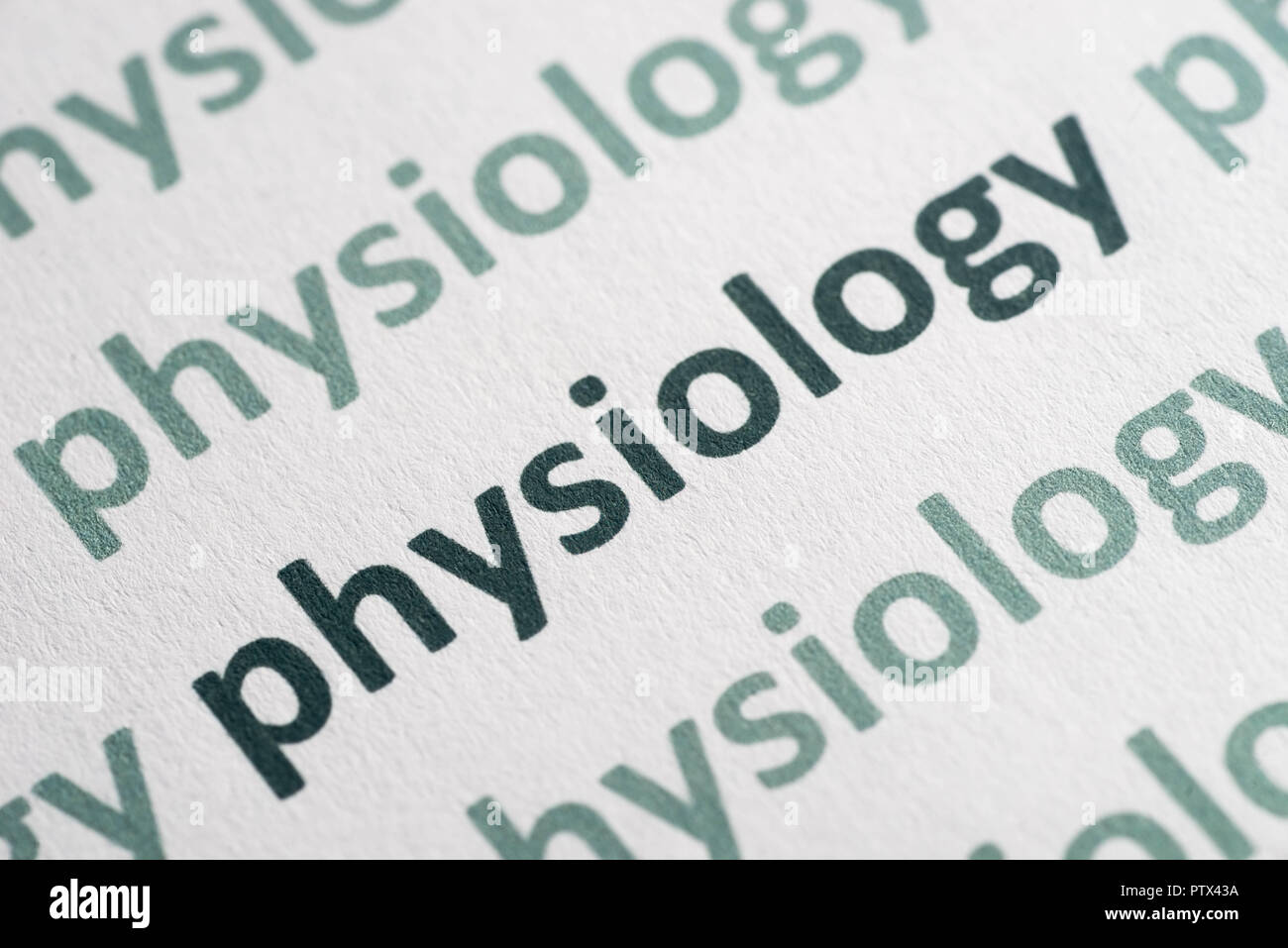Physiologie mots imprimés sur papier blanc macro Banque D'Images