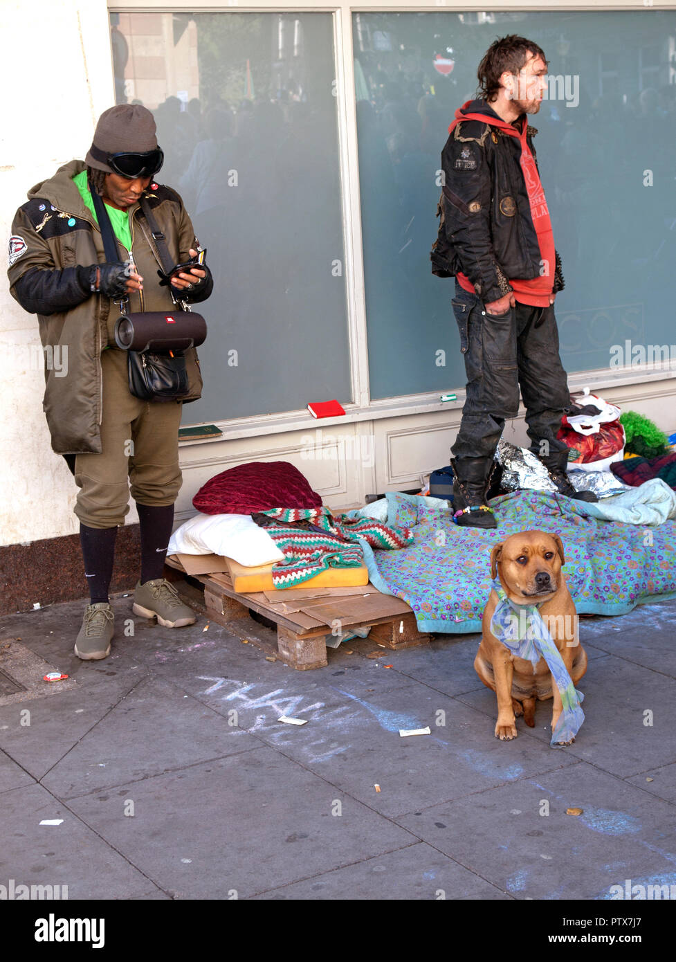 Les gens de la rue avec leur chien à Brighton Banque D'Images