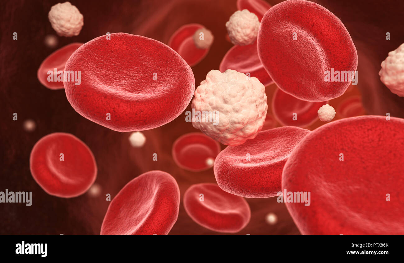 Les cellules du sang et du glucose dans la veine. 3D illustration Banque D'Images