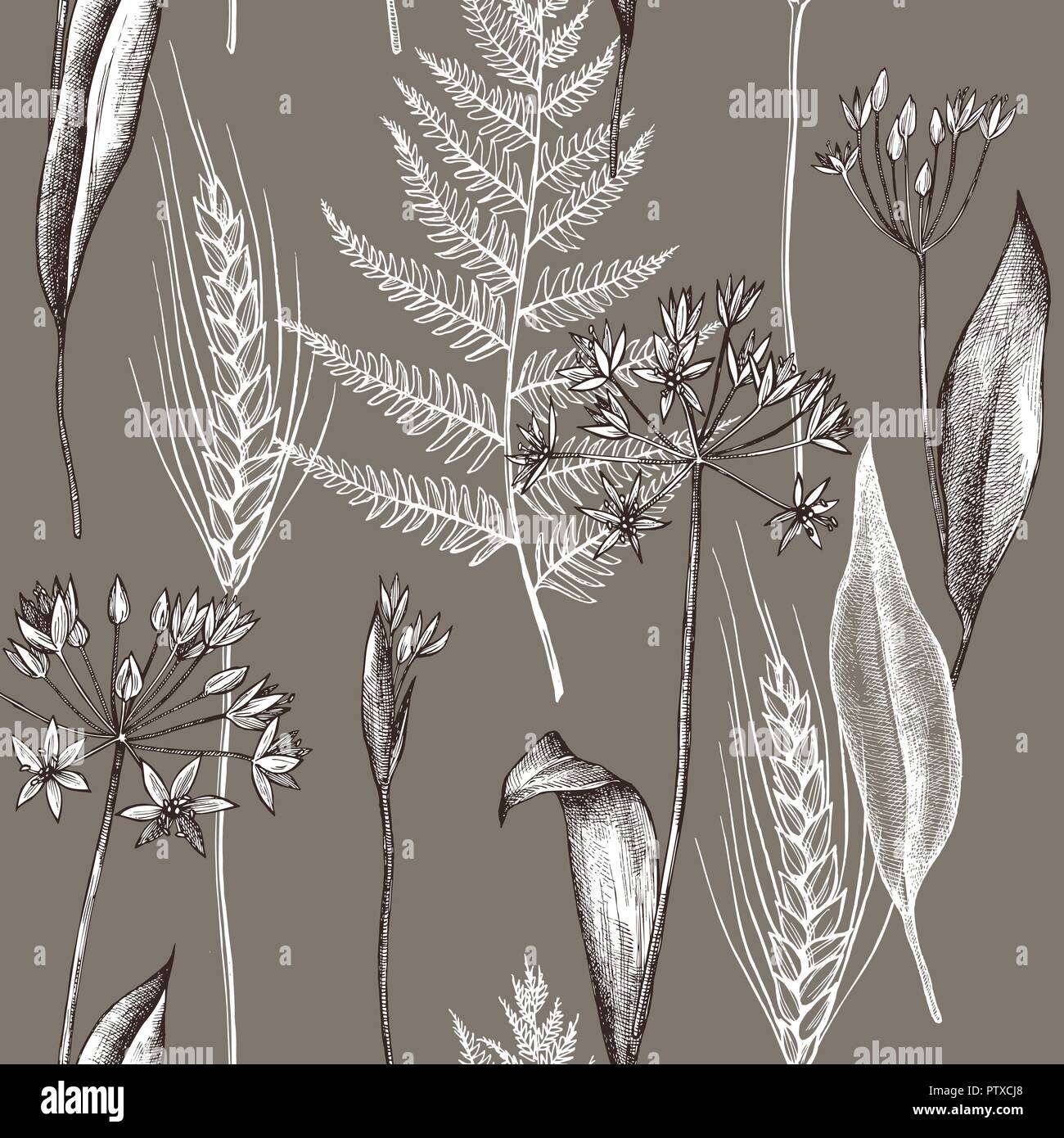 Modèle de vecteur seamless pattern plantes d'automne. Hand drawn vector illustration Illustration de Vecteur