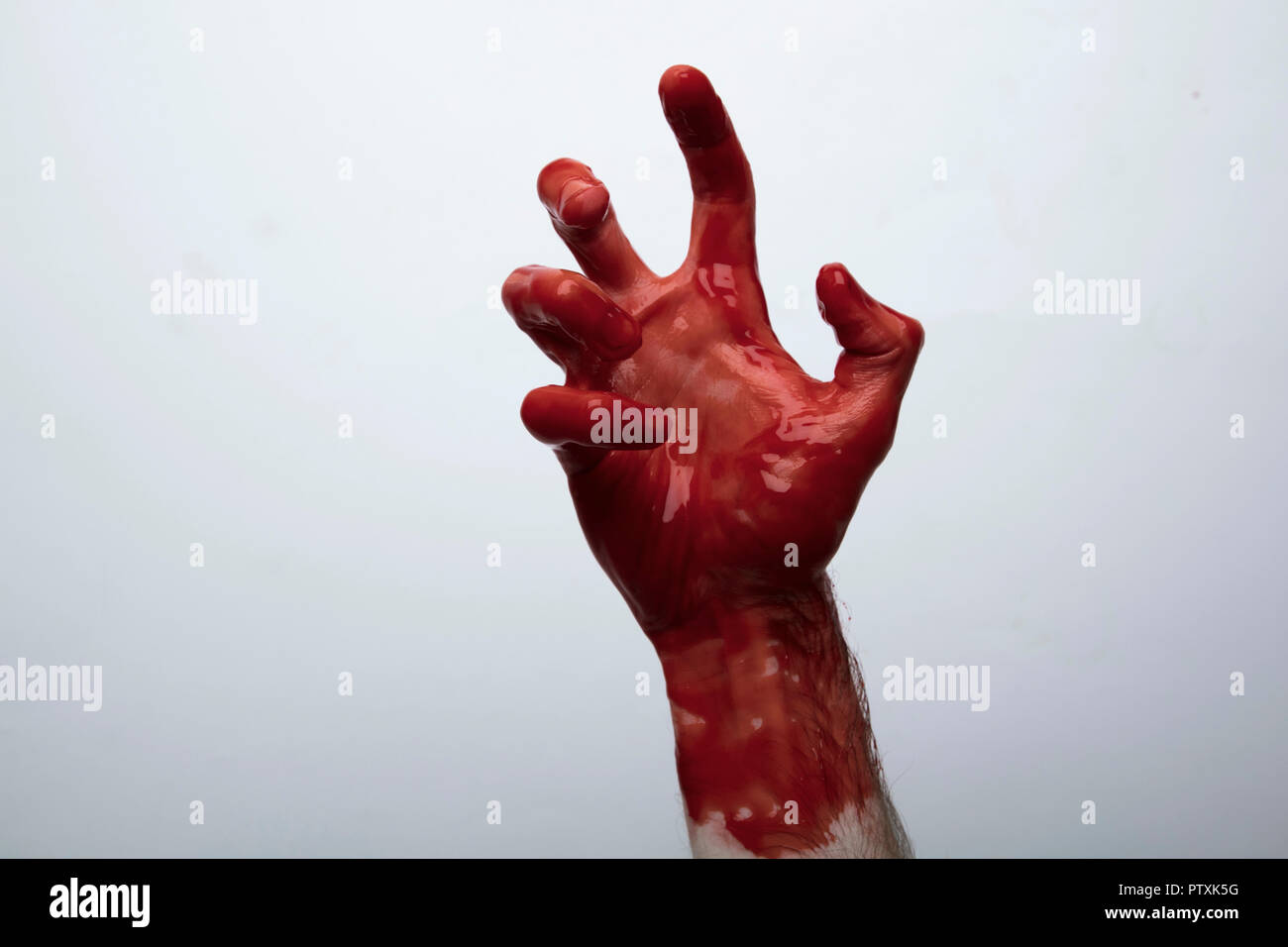 La main sanglante contre un arrière-plan clair halloween concept Photo  Stock - Alamy