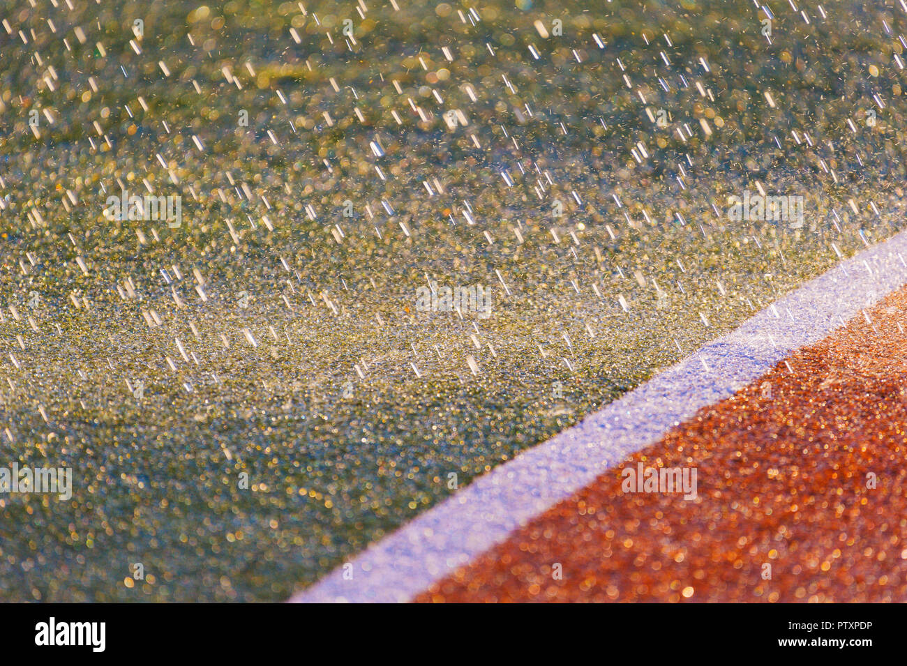 Il pleut .La texture de l'herbe couvrir un terrain de sports. Utilisé dans le tennis, golf, baseball, le hockey, football, cricket, rugby. Banque D'Images